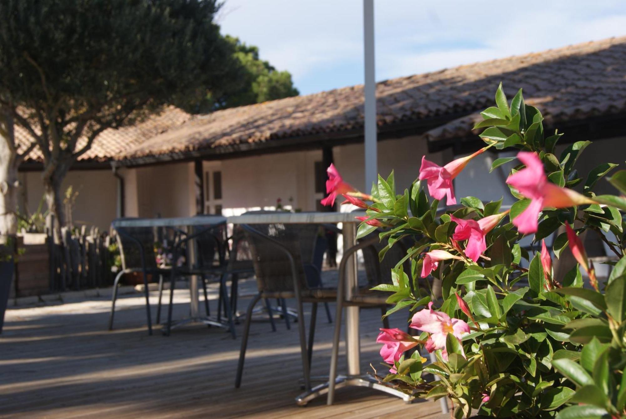 Hotel Les Rizieres Saintes-Maries-de-la-Mer Exteriér fotografie